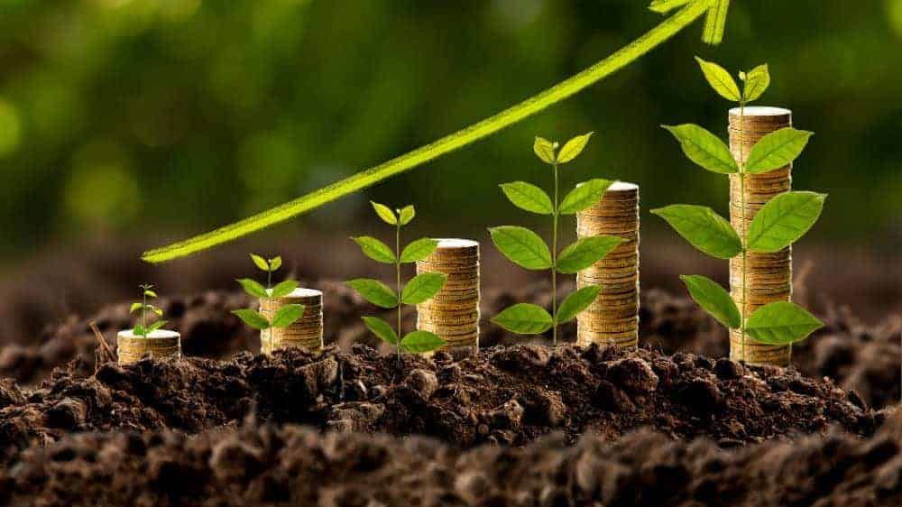 Stacks of coins growing from soil with green plants sprouting, symbolizing sustainable investments and financial growth.